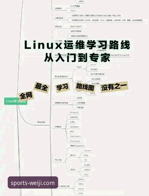 维基体育登录方式 维基体育手机版登录方式实用指南:从入门到精通必备知识